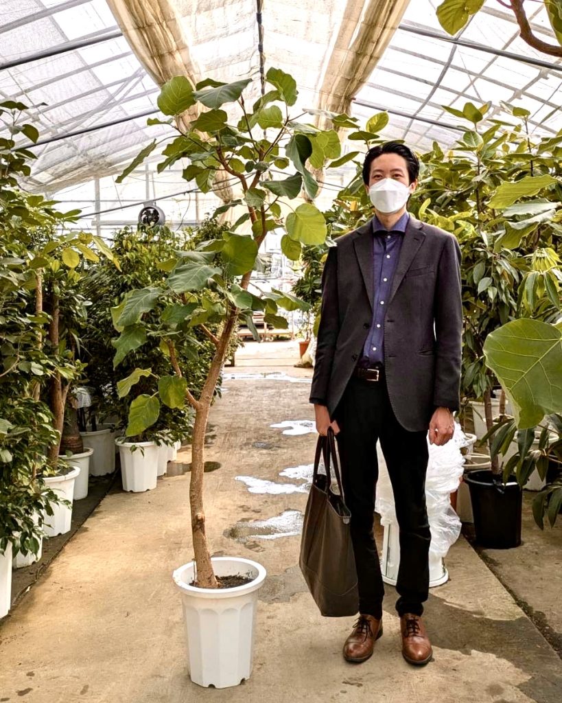 観葉植物