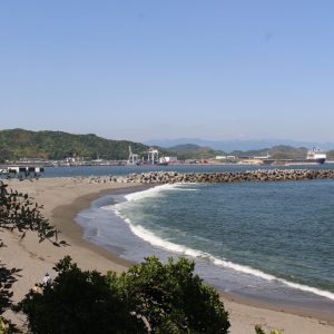 桂浜
