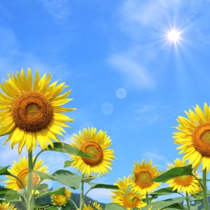 【現場目線】夏の熱中症対策してますか?