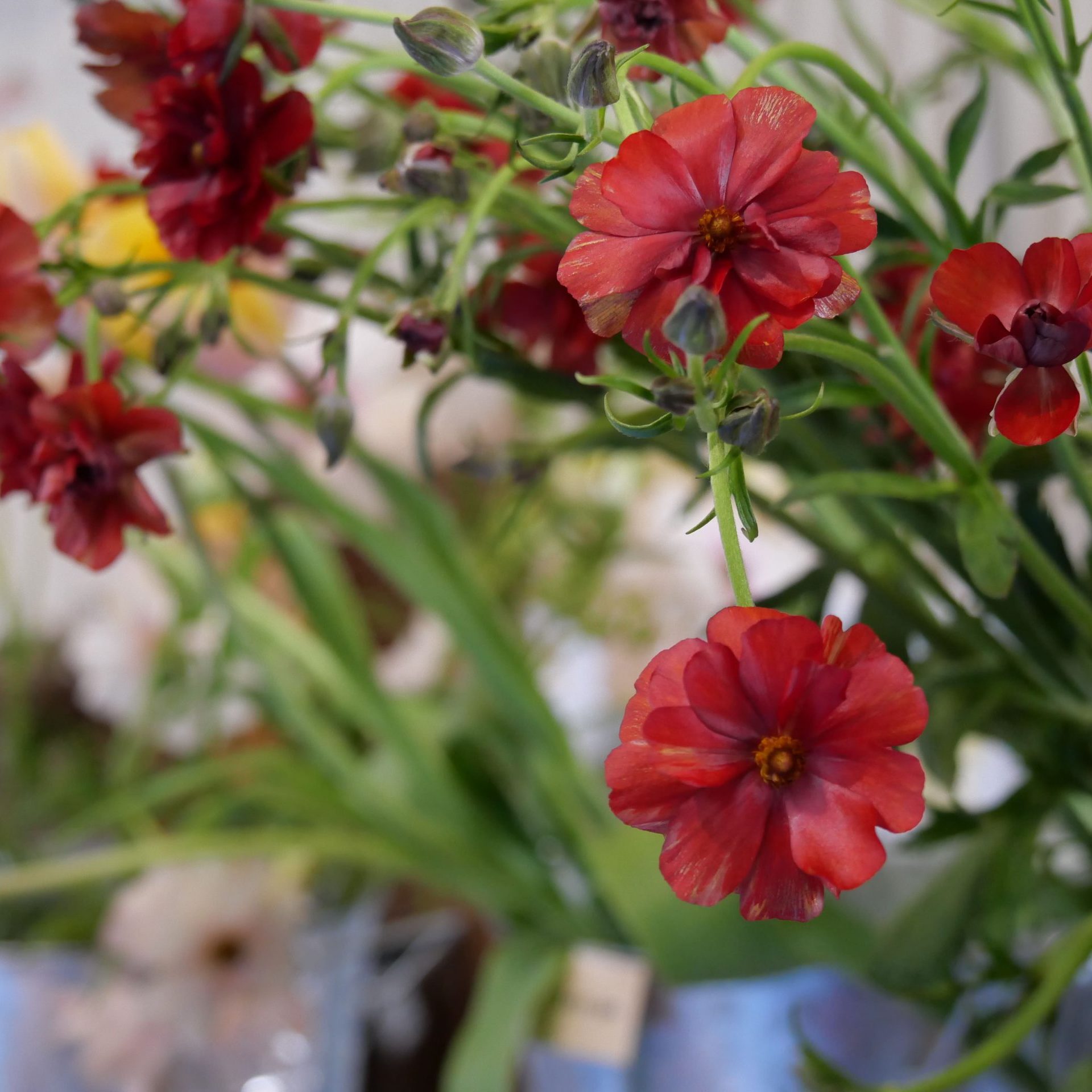 flower shop 花の森さん　とご縁