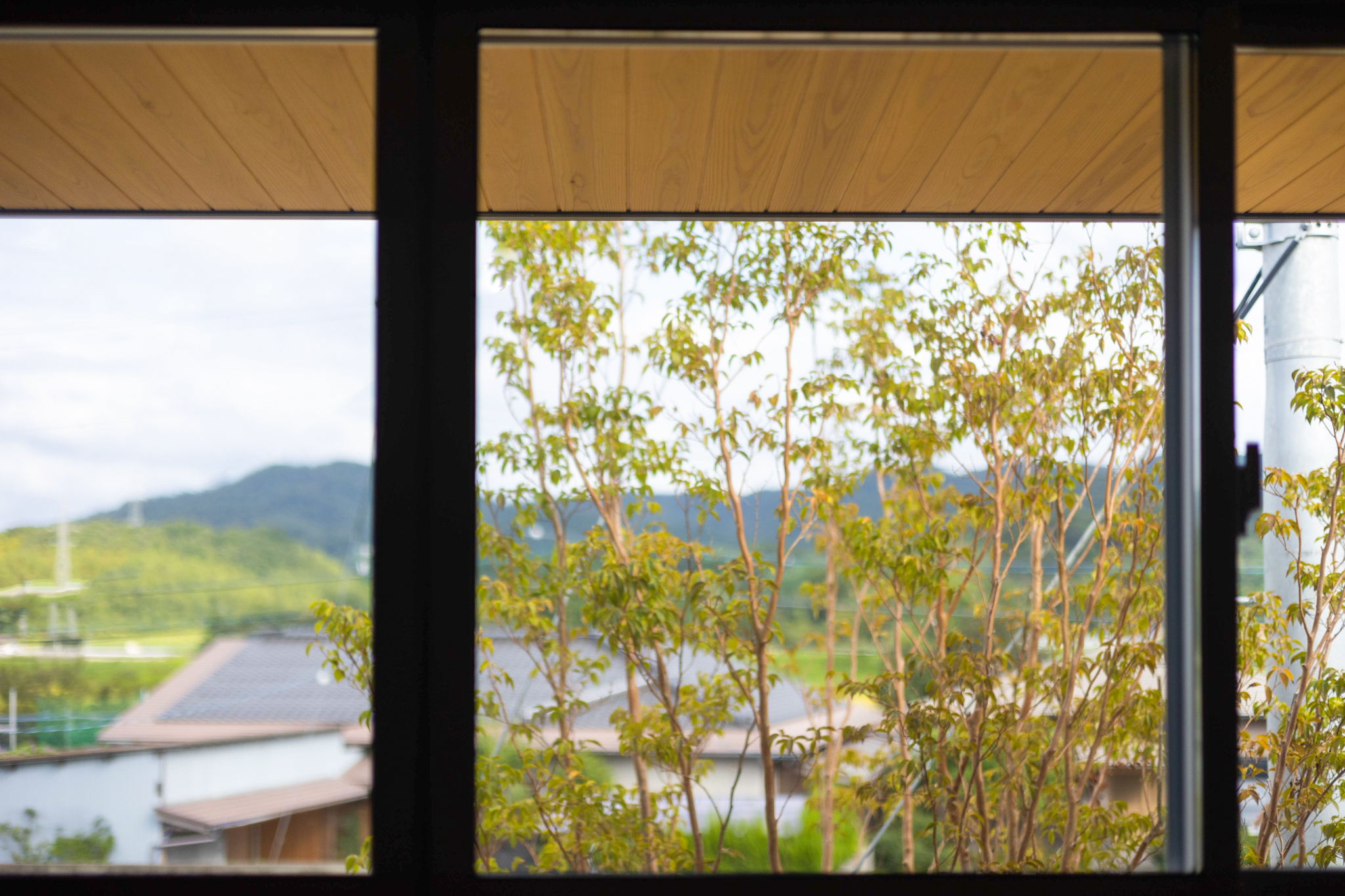 [ 住宅事例 / 鳥取 ] 暮らしの中に自然がある豊かさ